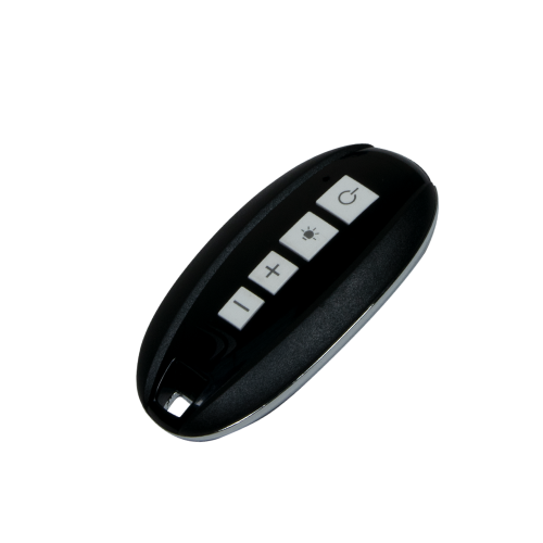 Remote Control Fob 5